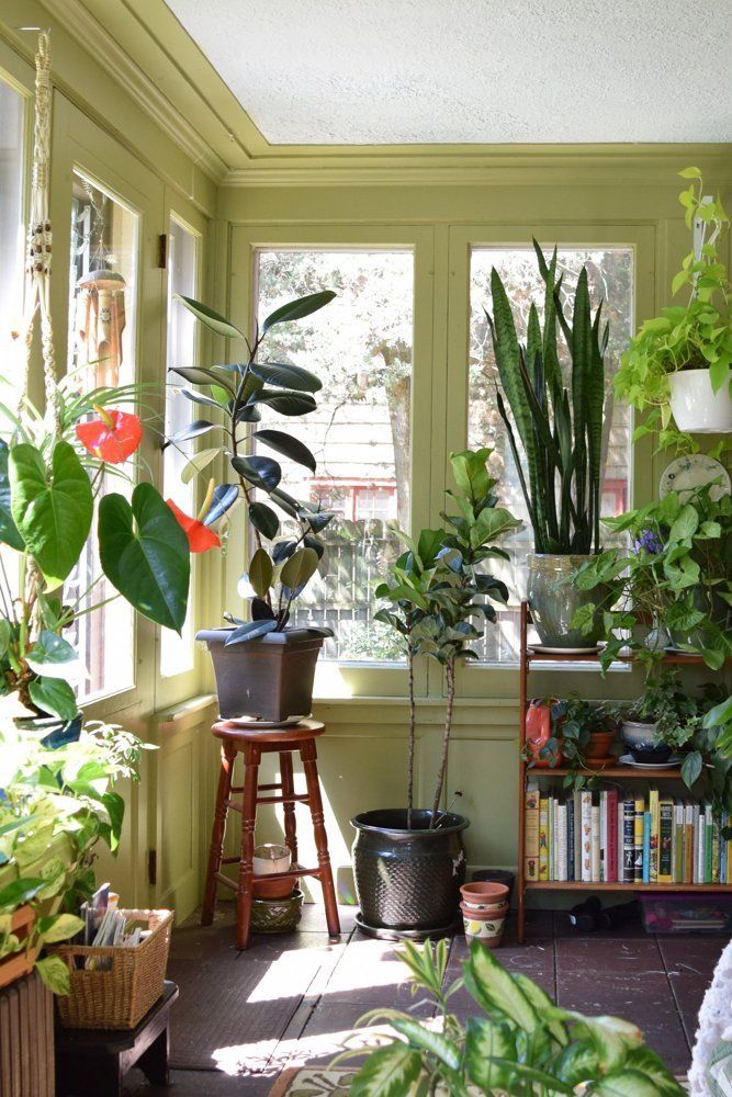 Best ways to decorate your space with plants  See here 