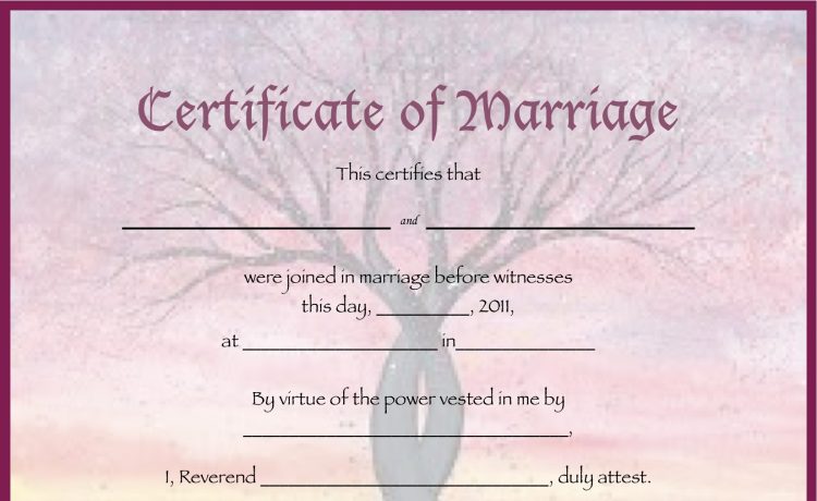 Court marriage, Marriage certificate, Marriage certificates, Love marriage, Arrange marriage, Hindu Marriage Act, Special Marriage Act, Linking Aadhaar with marriage certificate, How to apply for marriage certificate, How to get marriage certificate, How to get marriage certificate in India, Indian marriage certificate, National news