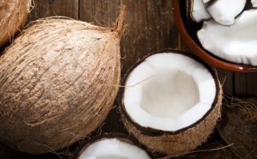 Coconut Oil, Benefits of coconut oil, India, Health news, Lifestyle news, Offbeat news