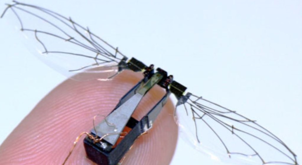 Robots, Flying insects, Flying-wing robot, Robot like flies, Dutch engineers, Drone applications, Science news, Technology news