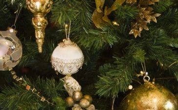 Christmas tree, Pine needles, Christmas festival, New Year, House Paint, Food sweeteners, Festival season, Lifestyle news, Offbeat news