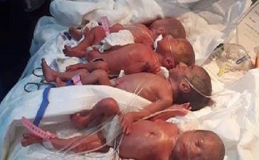Woman, Seven babies, Woman delivers seven babies, Youssef Fadl, Septuplet birth, Newborn babies, Iraq, World news