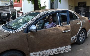 Sejal Shah, Cow dung, Summer, Toyota Sedan, Gandhinagar, Ahmedabad, Gujarat, Weird news, Offbeat news